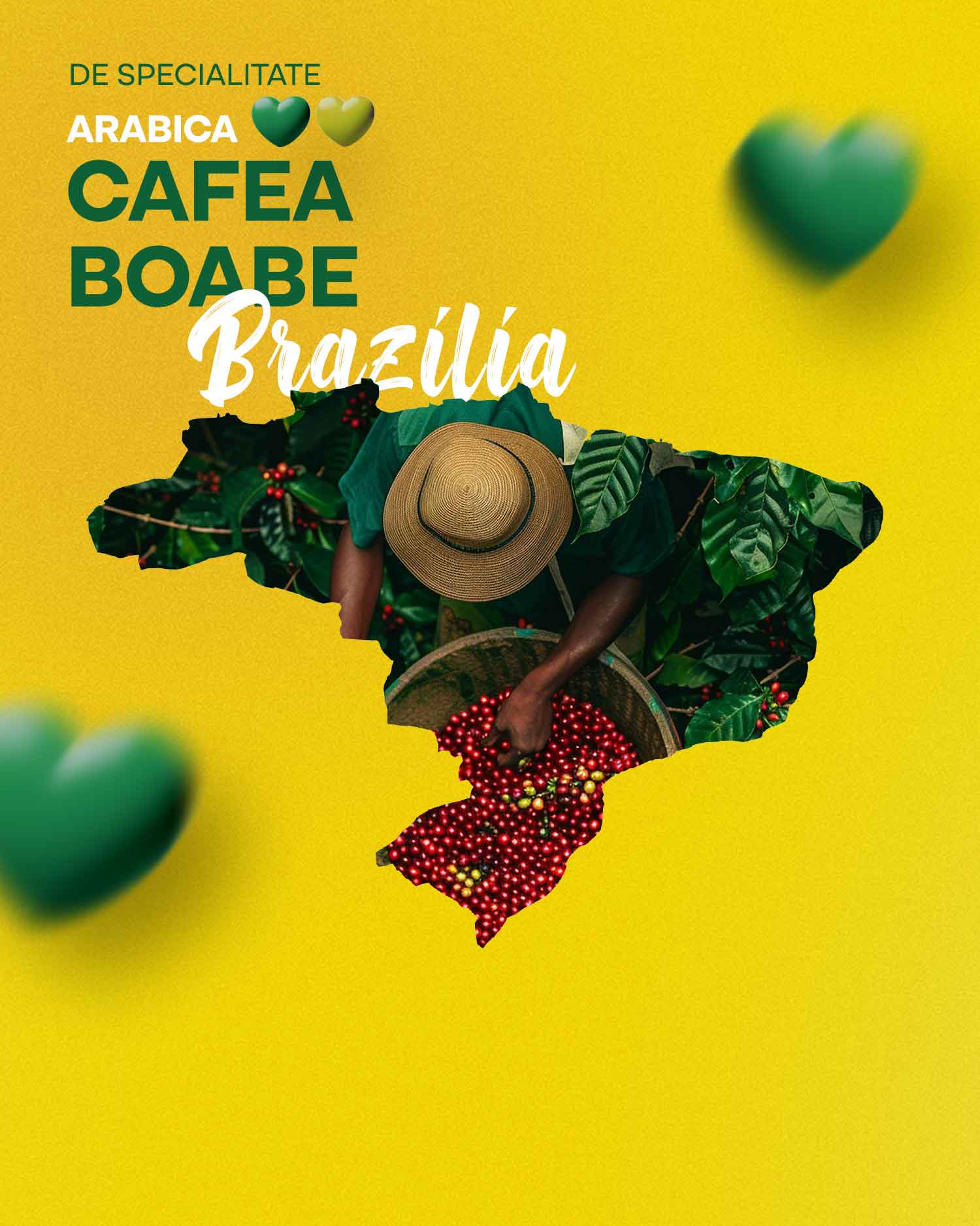 Brazilia 1kg boabe